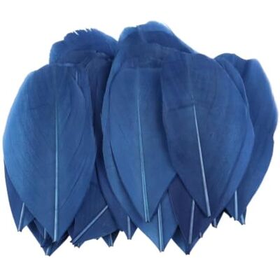 MDSRFGN JHSDHYD Federn Dekoration Mini-Gänsefedern, 5–8 cm, farbig, for Basteln DIY Schmuck Traumfänger Anhänger Plume Decor Supplies(Deep Blue,100 PCS) MDSRFGN JHSDHYD Federn Dekoration Mini-Gänsefedern, 5–8 cm, farbig, for Basteln DIY Schmuck Traumfänger Anhänger Plume Decor Supplies(Deep Blue,100 PCS)