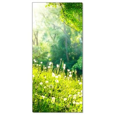 Wallario Selbstklebende Türtapete Pusteblumen im Wald mit einfallenden Sonnenstrahlen Türposter 93 x 205 cm Abwischbar, rückstandsfrei zu entfernen Wallario Selbstklebende Türtapete Pusteblumen im Wald mit einfallenden Sonnenstrahlen Türposter 93 x 205 cm Abwischbar, rückstandsfrei zu entfernen