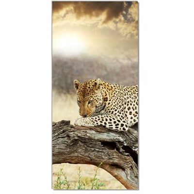 Wallario Selbstklebende Türtapete Leopard auf Baumstamm in Afrika Türposter 93 x 205 cm Abwischbar, rückstandsfrei zu entfernen Wallario Selbstklebende Türtapete Leopard auf Baumstamm in Afrika Türposter 93 x 205 cm Abwischbar, rückstandsfrei zu entfernen