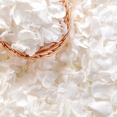 KUIGUAZI 500+ Stück echte weiße Rosenblätter, 130 g, konservierte weiße Blütenblätter für Hochzeitsblumenmädchen, getrocknete Blütenblätter für Babyparty, Brautparty, Gang, Tisch, Streudekoration KUIGUAZI 500+ Stück echte weiße Rosenblätter, 130 g, konservierte weiße Blütenblätter für Hochzeitsblumenmädchen, getrocknete Blütenblätter für Babyparty, Brautparty, Gang, Tisch, Streudekoration