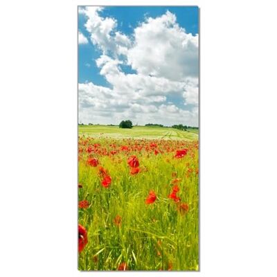 Wallario Selbstklebende Türtapete Grüne Wiese mit Mohnblumen Türposter 93 x 205 cm Abwischbar, rückstandsfrei zu entfernen Wallario Selbstklebende Türtapete Grüne Wiese mit Mohnblumen Türposter 93 x 205 cm Abwischbar, rückstandsfrei zu entfernen