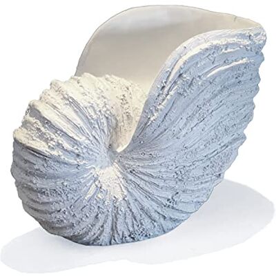 Huey House Nautilus Muschel-Skulptur, Nachbildung, Strand-Thema, Ozean-Dekoration für Zuhause, rustikales weißes Kunstharz, 26,4 x 15,2 x 20,3 cm, handgefertigt, Küstenmuschel-Regal-Dekoration, in Huey House Nautilus Muschel-Skulptur, Nachbildung, Strand-Thema, Ozean-Dekoration für Zuhause, rustikales weißes Kunstharz, 26,4 x 15,2 x 20,3 cm, handgefertigt, Küstenmuschel-Regal-Dekoration, in