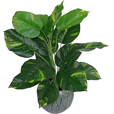 Leaf Design UK Realistische große künstliche Blattpflanze mit Topf Devils Ivy, 60 cm, Devils Ivy, 60 cm, AZ-Foliage Leaf Design UK Realistische große künstliche Blattpflanze mit Topf Devils Ivy, 60 cm, Devils Ivy, 60 cm, AZ-Foliage