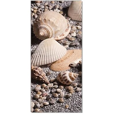 Wallario Selbstklebende Türtapete Muscheln am Strand Türposter 93 x 205 cm Abwischbar, rückstandsfrei zu entfernen Wallario Selbstklebende Türtapete Muscheln am Strand Türposter 93 x 205 cm Abwischbar, rückstandsfrei zu entfernen