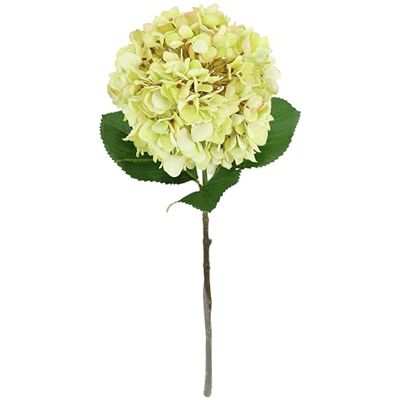 Flair Flower Künstliche Hortensie Grün – Große Kunstblume mit real Touch Optik – Premium Deko Blume für Vase, Hochzeit, Wohnzimmer, Hotel, Event & Tischdeko – Eleganter Hortensienzweig künstlich Flair Flower Künstliche Hortensie Grün – Große Kunstblume mit real Touch Optik – Premium Deko Blume für Vase, Hochzeit, Wohnzimmer, Hotel, Event & Tischdeko – Eleganter Hortensienzweig künstlich