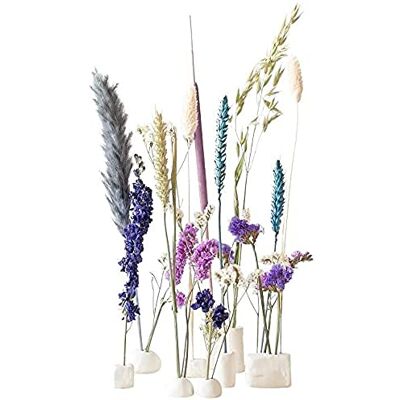 BloomPost Bloom & Clay Blue BloomPost Bloom & Clay Blue