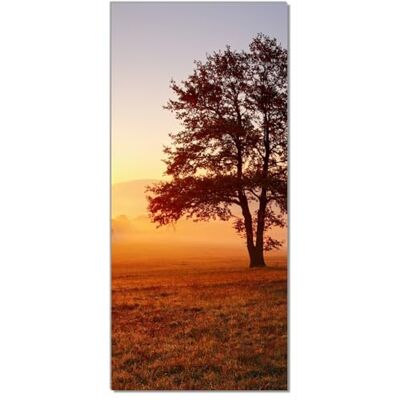 Wallario Selbstklebende Türtapete Sonnenaufgang über der Wiese mit Nebel Türposter 93 x 205 cm Abwischbar, rückstandsfrei zu entfernen Wallario Selbstklebende Türtapete Sonnenaufgang über der Wiese mit Nebel Türposter 93 x 205 cm Abwischbar, rückstandsfrei zu entfernen