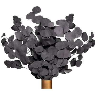 Farrell Brec Angebot Black Week Eukalyptus extra langlebige und 65-70 cm lange Trockenblumen Deko getrocknetes Eukalyptus getrocknete Blumen , Vase Trockenblumenstrauß , Boho Deko (Schwarz-Lila) Farrell Brec Angebot Black Week Eukalyptus extra langlebige und 65-70 cm lange Trockenblumen Deko getrocknetes Eukalyptus getrocknete Blumen , Vase Trockenblumenstrauß , Boho Deko (Schwarz-Lila)