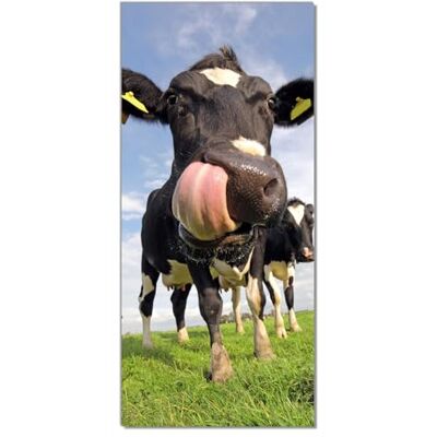 Wallario Selbstklebende Türtapete Lustige Kuh auf der Weide mit herausgestreckter Zunge Türposter 93 x 205 cm Abwischbar, rückstandsfrei zu entfernen Wallario Selbstklebende Türtapete Lustige Kuh auf der Weide mit herausgestreckter Zunge Türposter 93 x 205 cm Abwischbar, rückstandsfrei zu entfernen