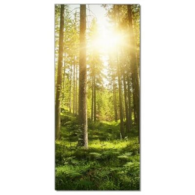 Wallario Selbstklebende Türtapete Sonnenstrahlen im Nadelwald mit Moos und Farn Türposter 93 x 205 cm Abwischbar, rückstandsfrei zu entfernen Wallario Selbstklebende Türtapete Sonnenstrahlen im Nadelwald mit Moos und Farn Türposter 93 x 205 cm Abwischbar, rückstandsfrei zu entfernen