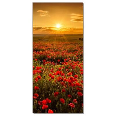Wallario Selbstklebende Türtapete Mohnblumenwiese bei Sonnenuntergang am Abend Türposter 93 x 205 cm Abwischbar, rückstandsfrei zu entfernen Wallario Selbstklebende Türtapete Mohnblumenwiese bei Sonnenuntergang am Abend Türposter 93 x 205 cm Abwischbar, rückstandsfrei zu entfernen