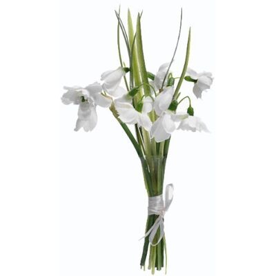 Floristrywarehouse Künstliche Schneeglöckchen aus Seide, 5 Stiele mit Satinband, 23 cm Floristrywarehouse Künstliche Schneeglöckchen aus Seide, 5 Stiele mit Satinband, 23 cm