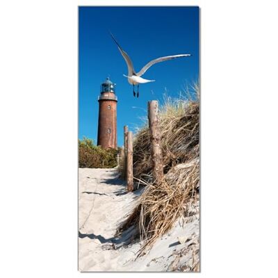 Wallario Selbstklebende Türtapete Möwe am Strand mit Leuchtturm Türposter 93 x 205 cm Abwischbar, rückstandsfrei zu entfernen Wallario Selbstklebende Türtapete Möwe am Strand mit Leuchtturm Türposter 93 x 205 cm Abwischbar, rückstandsfrei zu entfernen