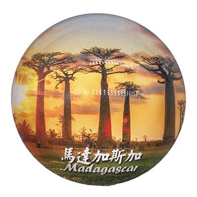 Wedarego Madagaskar 3D Kühlschrank Kühlschrankmagnet Kristallglas Magnet Tourist Travel Souvenir Collection Geschenk Magnetische Aufkleber Home Küche Dekoration Wedarego Madagaskar 3D Kühlschrank Kühlschrankmagnet Kristallglas Magnet Tourist Travel Souvenir Collection Geschenk Magnetische Aufkleber Home Küche Dekoration
