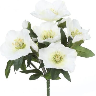 CREATIV green Christrosenbund mit 7 Blüten I 25 cm künstliche Christrose I weihnachtliche Christrose I Christrosengesteck für Vase I Weihnachtsdeko I hochwertige Kunstpflanzen für Weihnachten CREATIV green Christrosenbund mit 7 Blüten I 25 cm künstliche Christrose I weihnachtliche Christrose I Christrosengesteck für Vase I Weihnachtsdeko I hochwertige Kunstpflanzen für Weihnachten