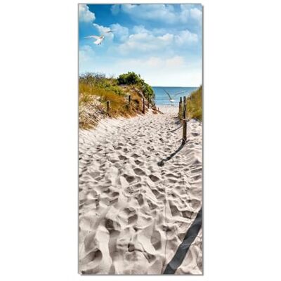 Wallario Selbstklebende Türtapete Möwen auf dem Weg zum Strand Türposter 93 x 205 cm Abwischbar, rückstandsfrei zu entfernen Wallario Selbstklebende Türtapete Möwen auf dem Weg zum Strand Türposter 93 x 205 cm Abwischbar, rückstandsfrei zu entfernen