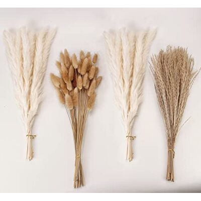 ANPROOR 100 PCS White Pampas Natürliche getrocknete Pampasgras-Dekoration, weißes Pampasgras, Bunny Tails getrocknete Blumen, Schilfgrasstrauß für Hochzeit Boho Blumendeko zu Hause, rustikale Bauernhausparty ANPROOR 100 PCS White Pampas Natürliche getrocknete Pampasgras-Dekoration, weißes Pampasgras, Bunny Tails getrocknete Blumen, Schilfgrasstrauß für Hochzeit Boho Blumendeko zu Hause, rustikale Bauernhausparty