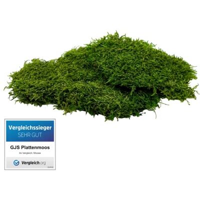 GJS Moos-Platten konserviertes Flachmoos zum Basteln, Deko & DIY, ideal für künstliche Bilder, Pflanzen-Wand, Kunst, Terrarium, Weihnachten (Krippe, Adventskranz) und Ostern (Gras im Nest) (500 g) GJS Moos-Platten konserviertes Flachmoos zum Basteln, Deko & DIY, ideal für künstliche Bilder, Pflanzen-Wand, Kunst, Terrarium, Weihnachten (Krippe, Adventskranz) und Ostern (Gras im Nest) (500 g)