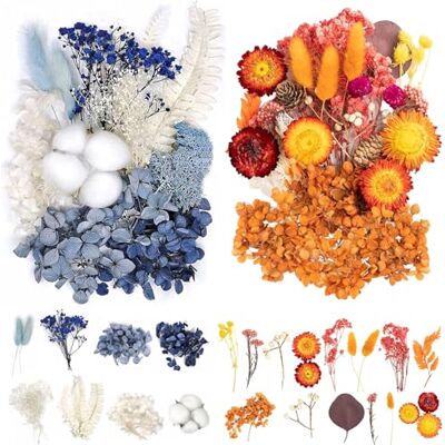 QYRDBGY Gepresste Blumen, 22 Stück Trockenblumen Basteln Bunt Trockenblumen zum Basteln Klein Schön Pampasgras Klein für DIY Hochzeitsdeko Wohnkultur Scrapbooking Dekoration QYRDBGY Gepresste Blumen, 22 Stück Trockenblumen Basteln Bunt Trockenblumen zum Basteln Klein Schön Pampasgras Klein für DIY Hochzeitsdeko Wohnkultur Scrapbooking Dekoration