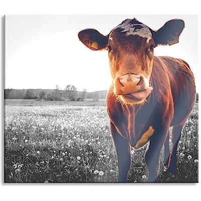 Pixxprint Kuh auf Butterblumenwiese Herdabdeckplatte & Spritzschutz aus Echtglas Für Herd-Kochfelder 60x52 cm Pixxprint Kuh auf Butterblumenwiese Herdabdeckplatte & Spritzschutz aus Echtglas Für Herd-Kochfelder 60x52 cm
