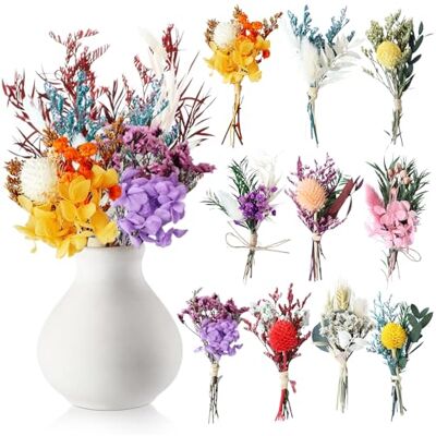 Noaxylic 10 Bündel Trockenblumen Klein, Bunt Trockenblumenstrauß DIY Trockenblumen Natürliche Trockenblumenstrauß Klein, für DIY Bastel, Fotoalbum Dekoration, Heimdekoration Hochzeitsdekoration(A) Noaxylic 10 Bündel Trockenblumen Klein, Bunt Trockenblumenstrauß DIY Trockenblumen Natürliche Trockenblumenstrauß Klein, für DIY Bastel, Fotoalbum Dekoration, Heimdekoration Hochzeitsdekoration(A)