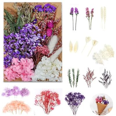 LZYDKH Getrocknete Blumen, Trockenblumen zum Basteln Gepresste Blüten Natürliche Schleierkraut Getrocknet Klein Getrockneten Gemischte Deko für DIY Kunst Scrapbooking (Violett) LZYDKH Getrocknete Blumen, Trockenblumen zum Basteln Gepresste Blüten Natürliche Schleierkraut Getrocknet Klein Getrockneten Gemischte Deko für DIY Kunst Scrapbooking (Violett)
