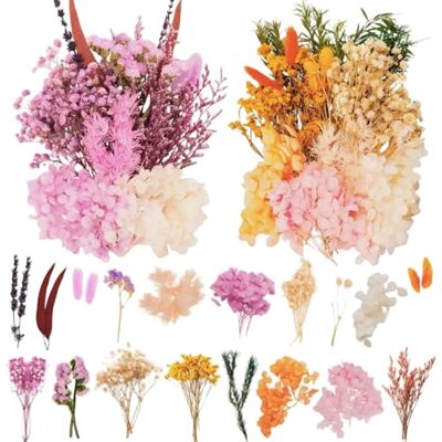 LAUMOE 2 Sätze Trockenblumen Lila, Getrocknete Blumen, Trockenblumen Klein Bunt, Blumenset zum Basteln, Deko für Kunst Basteln Dekoration LAUMOE 2 Sätze Trockenblumen Lila, Getrocknete Blumen, Trockenblumen Klein Bunt, Blumenset zum Basteln, Deko für Kunst Basteln Dekoration
