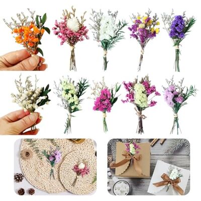 Noaxylic 10 Bündel Trockenblumen Klein Bunt Trockenblumenstrauß DIY Trockenblumen Natürliche Trockenblumenstrauß Klein, für DIY Bastel, Fotoalbum Dekoration, Heimdekoration Hochzeitsdekoration Noaxylic 10 Bündel Trockenblumen Klein Bunt Trockenblumenstrauß DIY Trockenblumen Natürliche Trockenblumenstrauß Klein, für DIY Bastel, Fotoalbum Dekoration, Heimdekoration Hochzeitsdekoration