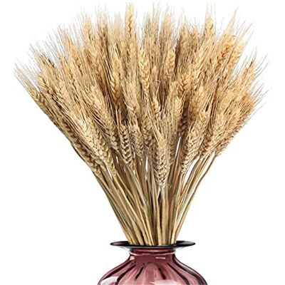 Hongjingda 100 Stück Getrocknete Blumen deko Weizen Natürliche Trockenblumen Deko Getrocknete Weizen Blumen Für Hochzeit Mittelstücke Zuhause Balkon Party Kitchen Tisch Vase Deko,45 Cm Hongjingda 100 Stück Getrocknete Blumen deko Weizen Natürliche Trockenblumen Deko Getrocknete Weizen Blumen Für Hochzeit Mittelstücke Zuhause Balkon Party Kitchen Tisch Vase Deko,45 Cm