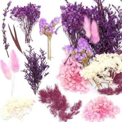 Jrzyhi Natürliche Getrocknete Blumen Trockenblumen Set für Basteln und Dekoration Multicolored Jrzyhi Natürliche Getrocknete Blumen Trockenblumen Set für Basteln und Dekoration Multicolored