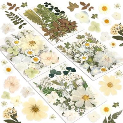 Resiners Echte Natürliche Getrocknete Blumen, 100 Stück Gepresste Blumen Für Harz, Seife, Kerzen, Scrapbooking & Karten, Getrocknete Blumen & Blätter Set für DIY Papierbasteln & Schmuckdekoration Resiners Echte Natürliche Getrocknete Blumen, 100 Stück Gepresste Blumen Für Harz, Seife, Kerzen, Scrapbooking & Karten, Getrocknete Blumen & Blätter Set für DIY Papierbasteln & Schmuckdekoration