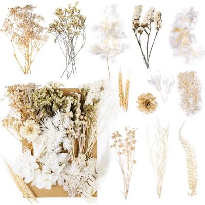 Jewan Trockenblumen, Natürliche Getrocknete Blumen, Trockenblumen zum Basteln Klein Set für DIY Kunst Basteln Deko Epoxidharz Kunsthandwerk Scrapbook Karten Machen Jewan Trockenblumen, Natürliche Getrocknete Blumen, Trockenblumen zum Basteln Klein Set für DIY Kunst Basteln Deko Epoxidharz Kunsthandwerk Scrapbook Karten Machen