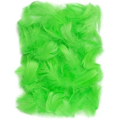 Netuno 150 Federn Grün 10g Flaumfedern zum Basteln Deko Natur 10 g · Flauschige Dekofedern für DIY Basteln Dekoration von Partys, Traumfänger, Masken Netuno 150 Federn Grün 10g Flaumfedern zum Basteln Deko Natur 10 g · Flauschige Dekofedern für DIY Basteln Dekoration von Partys, Traumfänger, Masken
