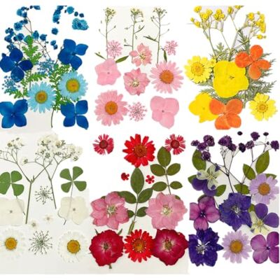 Ikruidy 72 stück Natürliche Getrocknete Blumen DIY Gepresste Blumen aus der Natur für Epoxidharz Formen Echte Trockenblumen Blätter Natürliche Kräuter mit transparentem für Scrapbooking Kerzen Seifen Machen K Ikruidy 72 stück Natürliche Getrocknete Blumen DIY Gepresste Blumen aus der Natur für Epoxidharz Formen Echte Trockenblumen Blätter Natürliche Kräuter mit transparentem für Scrapbooking Kerzen Seifen Machen K