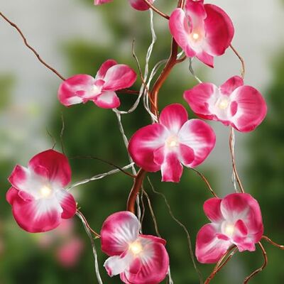 hellum Lichterkette innen Batterie mit pinken Orchideen, 10 LED warmweiß Lichterkette Blumen Batterie (2xAA nicht inkl.), LED Lichterkette Blüten, beleuchtet 1,35m, Valentinstag, Frühling 300178 hellum Lichterkette innen Batterie mit pinken Orchideen, 10 LED warmweiß Lichterkette Blumen Batterie (2xAA nicht inkl.), LED Lichterkette Blüten, beleuchtet 1,35m, Valentinstag, Frühling 300178
