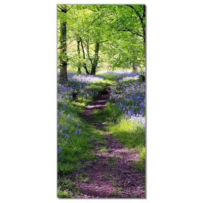 Wallario Selbstklebende Türtapete Blaues Hasenglöckchen im Wald Türposter 93 x 205 cm Abwischbar, rückstandsfrei zu entfernen Wallario Selbstklebende Türtapete Blaues Hasenglöckchen im Wald Türposter 93 x 205 cm Abwischbar, rückstandsfrei zu entfernen
