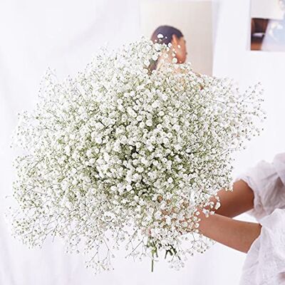 YIWOYI Natürliche Trockenblume, Schleierkraut, frisch getrocknet, getrocknete Blumen, Blumensträuße für Hochzeit, Party, Heimdekoration, 15 30 cm, 20 g, Weiß YIWOYI Natürliche Trockenblume, Schleierkraut, frisch getrocknet, getrocknete Blumen, Blumensträuße für Hochzeit, Party, Heimdekoration, 15 30 cm, 20 g, Weiß