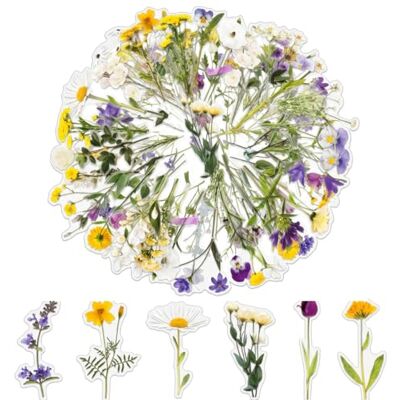 Ethernotes 120 Transparent Scrapbook Stickers, Wasserfeste Blumen Sticker PET Aufkleber Blumen, Selbstklebend, Bunt, Dekorative Scrapbook Zubehör Set für Fotoalbum(Morgenblüte) Ethernotes 120 Transparent Scrapbook Stickers, Wasserfeste Blumen Sticker PET Aufkleber Blumen, Selbstklebend, Bunt, Dekorative Scrapbook Zubehör Set für Fotoalbum(Morgenblüte)