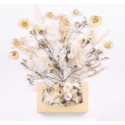 ART Echte & natürliche getrocknete Blumen als Geschenk zum Muttertag & Ostern, zum Basteln mit Resin oder Osterdekoration, Blüten und Trockenblumen Set, Gastgeschenk für Hochzeit (Weiß) ART Echte & natürliche getrocknete Blumen als Geschenk zum Muttertag & Ostern, zum Basteln mit Resin oder Osterdekoration, Blüten und Trockenblumen Set, Gastgeschenk für Hochzeit (Weiß)