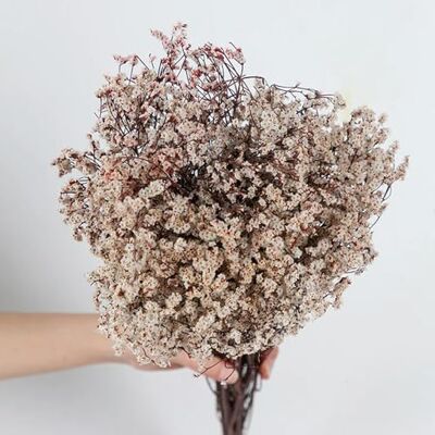 EboLD Eternal Life Natürliche getrocknete Blumen für immer Liebhaber, Kristall-Blumensträuße, Arrangement für Zuhause, Hochzeit, Party, Dekoration, G-30-40 g EboLD Eternal Life Natürliche getrocknete Blumen für immer Liebhaber, Kristall-Blumensträuße, Arrangement für Zuhause, Hochzeit, Party, Dekoration, G-30-40 g