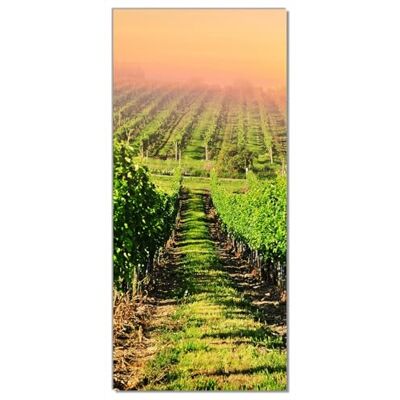 Wallario Selbstklebende Türtapete Weinberg mit untergehender Sonne Türposter 93 x 205 cm Abwischbar, rückstandsfrei zu entfernen Wallario Selbstklebende Türtapete Weinberg mit untergehender Sonne Türposter 93 x 205 cm Abwischbar, rückstandsfrei zu entfernen