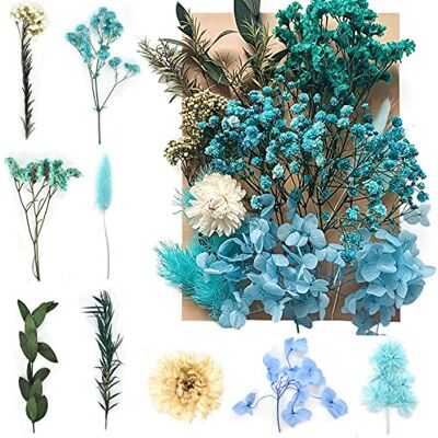 Disnace Natürliche Getrocknete Blumen, Gemischte Trockenblumen für DIY Kunst und Basteln, Blau Disnace Natürliche Getrocknete Blumen, Gemischte Trockenblumen für DIY Kunst und Basteln, Blau