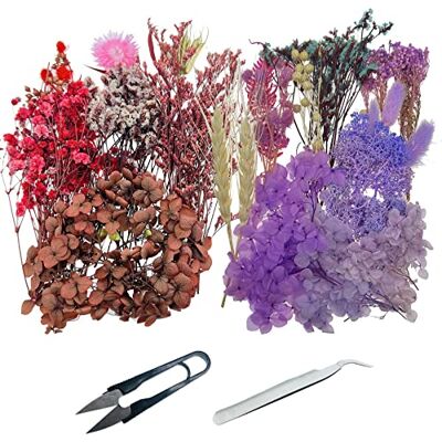 Cayway 2 Packs Natürliche Getrocknete Blumen Getrocknete Blätter Getrocknete Blumen Deko Gemischt mit Pinzette, Schere für Harz Kerzen Nagel DIY Dekor Cayway 2 Packs Natürliche Getrocknete Blumen Getrocknete Blätter Getrocknete Blumen Deko Gemischt mit Pinzette, Schere für Harz Kerzen Nagel DIY Dekor