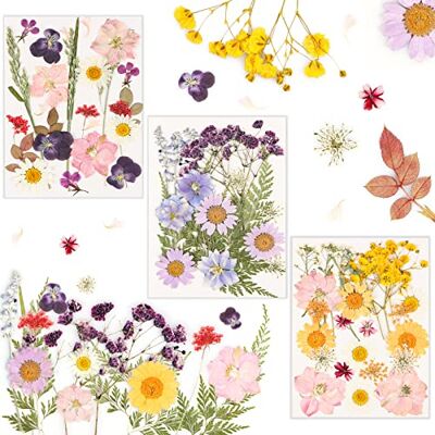 Generic 66 Stück Natürliche Getrocknete Blumen,SUPRROW DIY Gepresste Blumen Gemischte Getrocknete Blätter Gänseblümchen für DIY Kerzen Harz Schmuck Nagel Anhänger Kunsthandwerk Kunst Blumen Dekoration Generic 66 Stück Natürliche Getrocknete Blumen,SUPRROW DIY Gepresste Blumen Gemischte Getrocknete Blätter Gänseblümchen für DIY Kerzen Harz Schmuck Nagel Anhänger Kunsthandwerk Kunst Blumen Dekoration