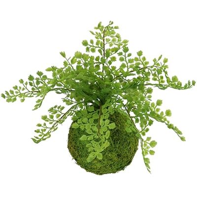 Flair Flower Künstliche Pflanze Frauenhaar auf Moos-Kugel Farn Farnbusch Waldfarn Kunstpflanze Zimmerpflanze Büropflanze Grünpflanze Dekopflanze Deko-Kugel Kunstmoos Busch Sträucher Dekofarn Farnpflanze Flair Flower Künstliche Pflanze Frauenhaar auf Moos-Kugel Farn Farnbusch Waldfarn Kunstpflanze Zimmerpflanze Büropflanze Grünpflanze Dekopflanze Deko-Kugel Kunstmoos Busch Sträucher Dekofarn Farnpflanze