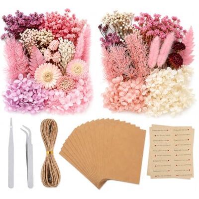 Lobaake 2er Set Trockenblumen Zum Basteln, Getrocknete Blumen Für Kerzen,Karte,Harz Blumenarrangements aus Kunstblumen; Karten & Wohnideen; DIY Fans & Dekofreunde; Werkzeug Und Papierzubehör Lobaake 2er Set Trockenblumen Zum Basteln, Getrocknete Blumen Für Kerzen,Karte,Harz Blumenarrangements aus Kunstblumen; Karten & Wohnideen; DIY Fans & Dekofreunde; Werkzeug Und Papierzubehör