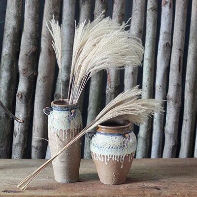 C-FUNN 1 Bouquet 8 Köpfe Schöne Dekoration Getrocknete Blumen Wilde Pampas Kleine Reed Blume Künstliche Blumen C-FUNN 1 Bouquet 8 Köpfe Schöne Dekoration Getrocknete Blumen Wilde Pampas Kleine Reed Blume Künstliche Blumen