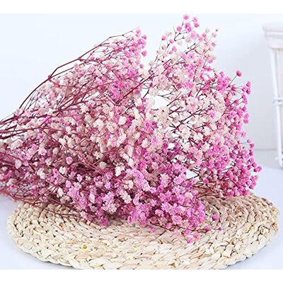 YIWOYI Natürliche Trockenblume, Schleierkraut, frisch getrocknet, getrocknete Blumen, Blumensträuße für Hochzeit, Party, Heimdekoration, 15 30 cm, 20 g, Rosa / Violett YIWOYI Natürliche Trockenblume, Schleierkraut, frisch getrocknet, getrocknete Blumen, Blumensträuße für Hochzeit, Party, Heimdekoration, 15 30 cm, 20 g, Rosa / Violett