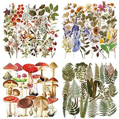 Kaderas 160 Stück Transparente Dekorative Aufkleber, Blumen Pflanze Pilz Farn Thema Bullet Journal Sticker, PET Durchsichtiger Hintergrund für DIY Scrapbook Fotoalben Tagebüchern Kaderas 160 Stück Transparente Dekorative Aufkleber, Blumen Pflanze Pilz Farn Thema Bullet Journal Sticker, PET Durchsichtiger Hintergrund für DIY Scrapbook Fotoalben Tagebüchern
