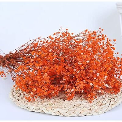 YIWOYI Natürliche Trockenblume, Schleierkraut, frisch getrocknet, getrocknete Blumen, Blumensträuße für Hochzeit, Party, Heimdekoration, 40 55 cm, 80 g, Orange YIWOYI Natürliche Trockenblume, Schleierkraut, frisch getrocknet, getrocknete Blumen, Blumensträuße für Hochzeit, Party, Heimdekoration, 40 55 cm, 80 g, Orange